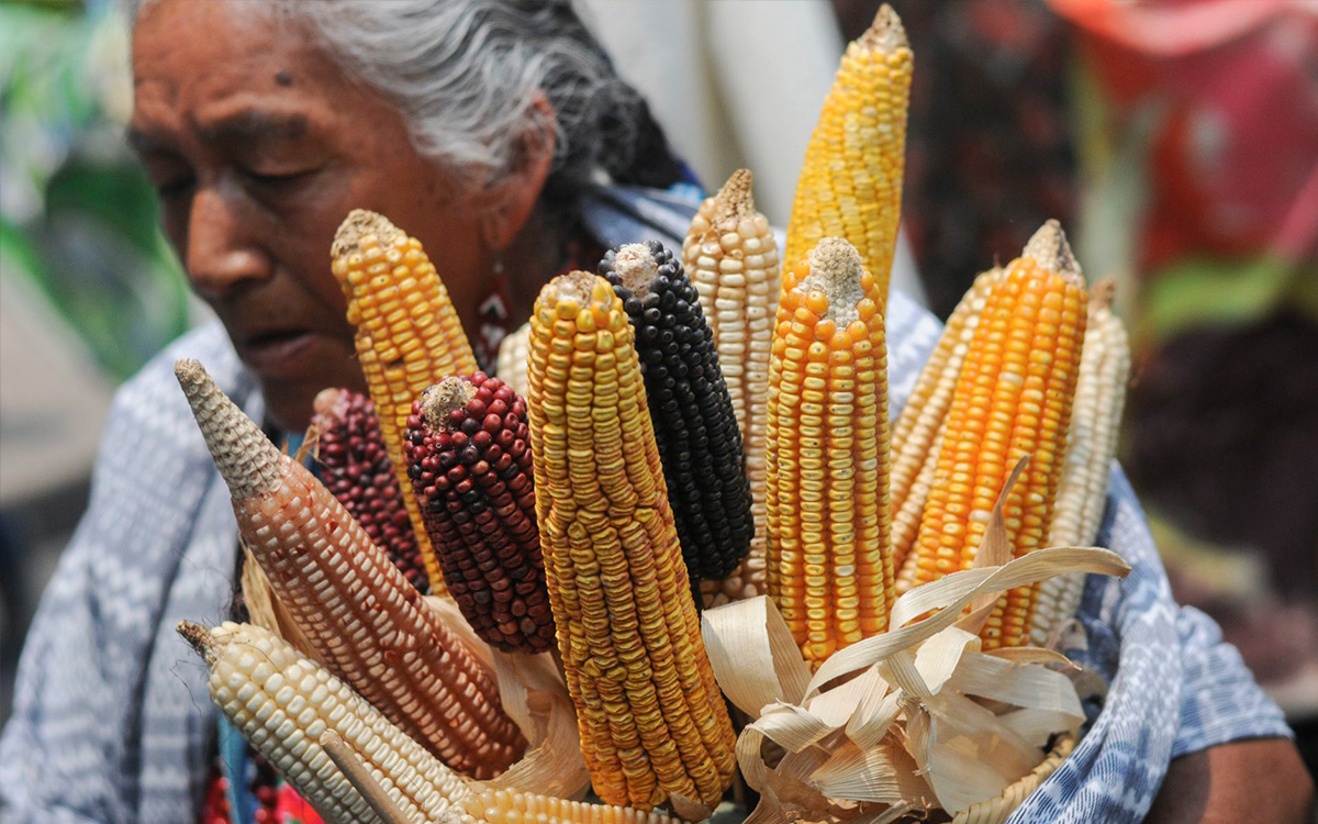 Alerta unión nacional de campesinos de una crisis alimentaria
