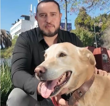 ¿Tienes mucho amor que dar? Este 15 de febrero adopta un gatito o perrito en la Glorieta de Insurgentes