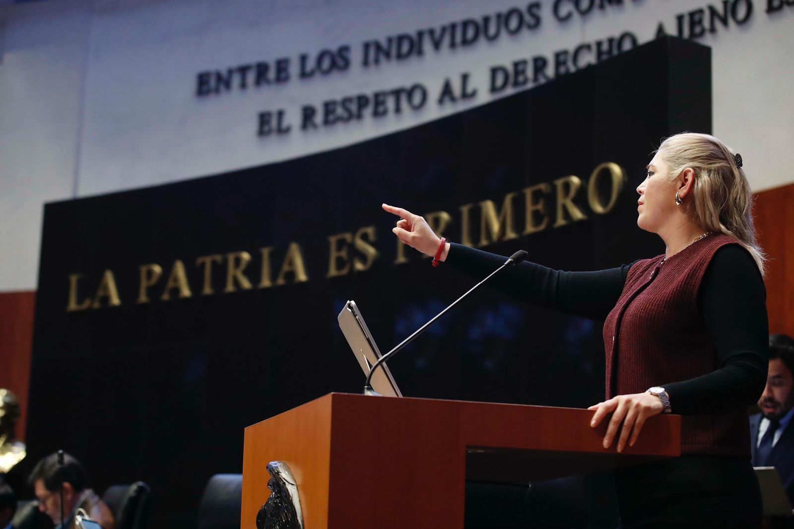 Aprobación para el ingreso a territorio nacional de integrantes del Ejército de Estados Unidos de América, no es nuevo: Verónica Camino Farjat