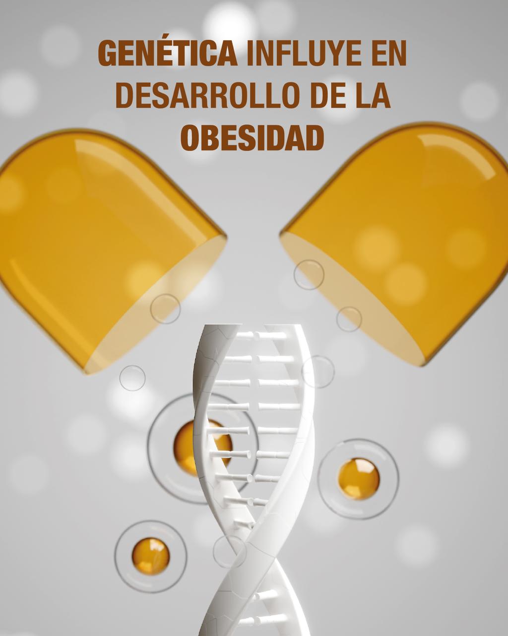La genética influye en el desarrollo de la obesidad: consideran especialistas.