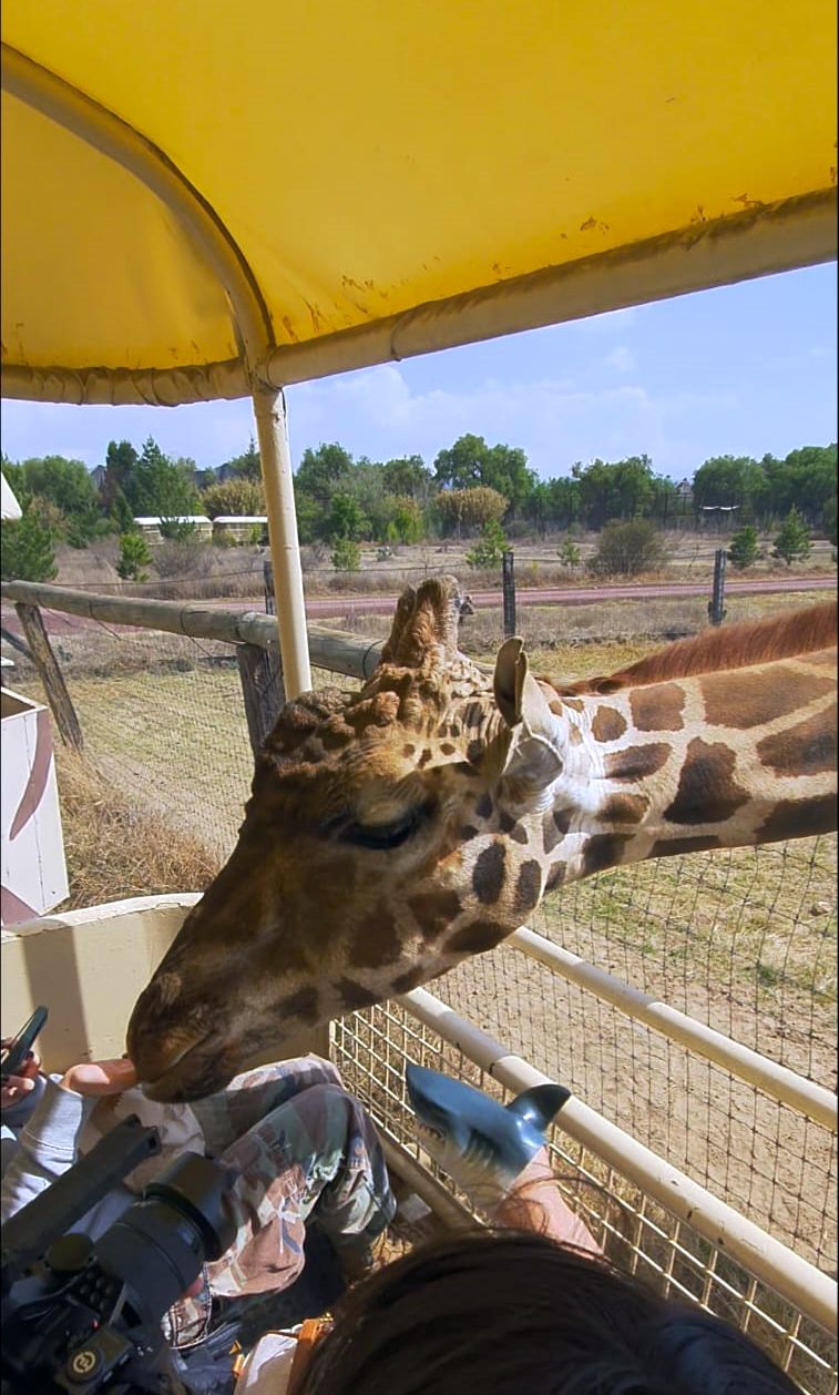 Centro de conservación en Teotihuacán "Reino Animal" alcanza el nivel Diamante