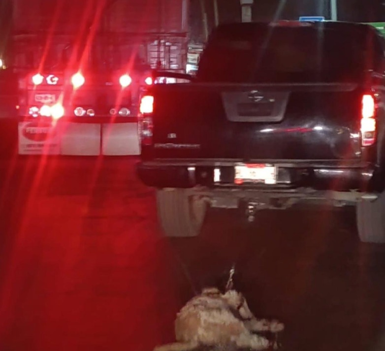 Hombre cruel  arrastra a un perro con camioneta