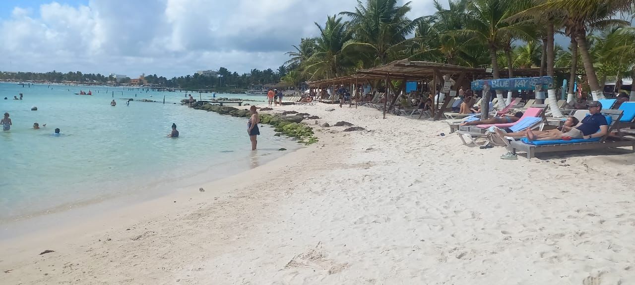 La Secretaria de Marina se preparan para la temporada de arribazón de sargazo 2025