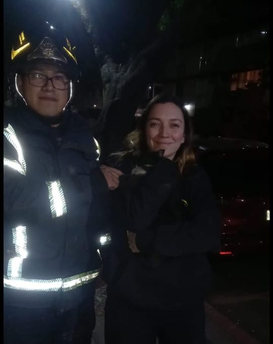 Bomberos de la CDMX rescatan al gatito de Regina Blandón 
