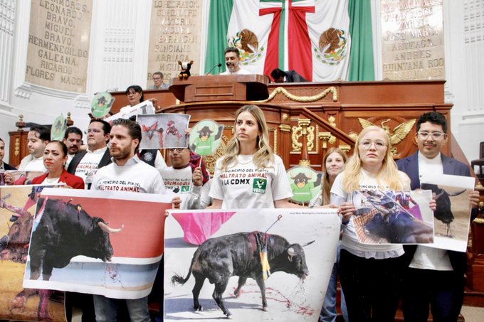 Congresistas locales logran consenso: se aprueban espectáculos taurinos en los cuales se garantiza el bienestar animal y se preservan las tradiciones culturales.