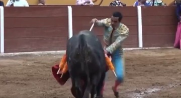 Señala Movimiento Ciudadano violación a la soberanía del Congreso por suspensión de dictamen sobre la prohibición de toros en la CDMX.