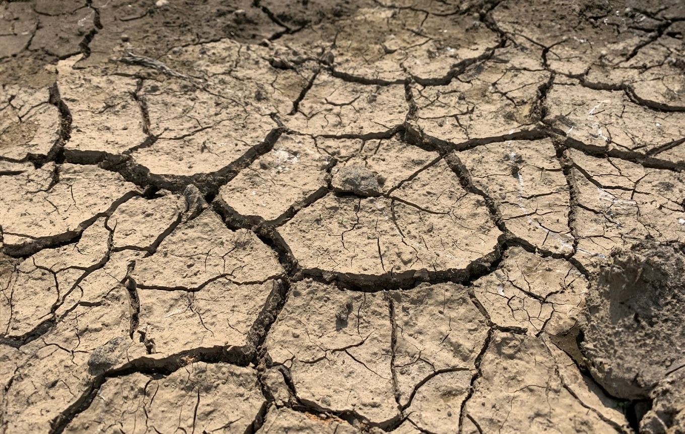 El Niño y La Niña las fases opuestas de la manifestación climática conocida como El Niño-Oscilación del Sur (ENOS), el cual se produce en el océano Pacífico ecuatorial.