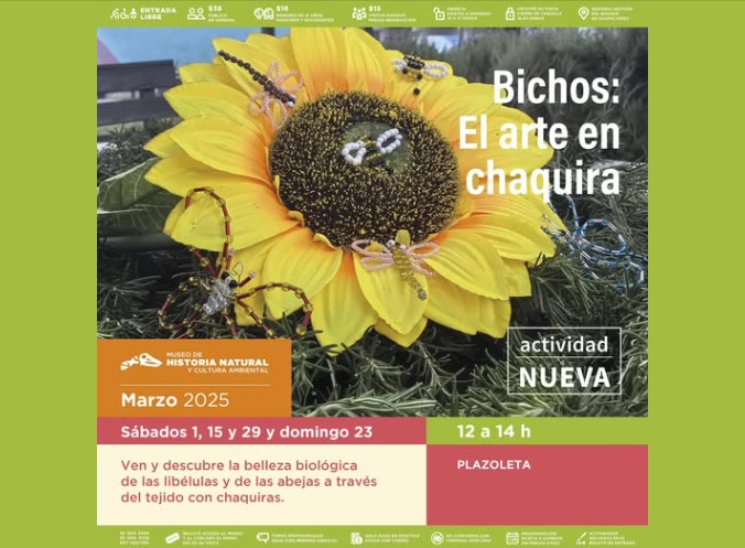 Vive una semana de ciencia, arte y medio ambiente con actividades especiales en el Museo de Historia Natural y el Centro de Cultura Ambiental Chapultepec.