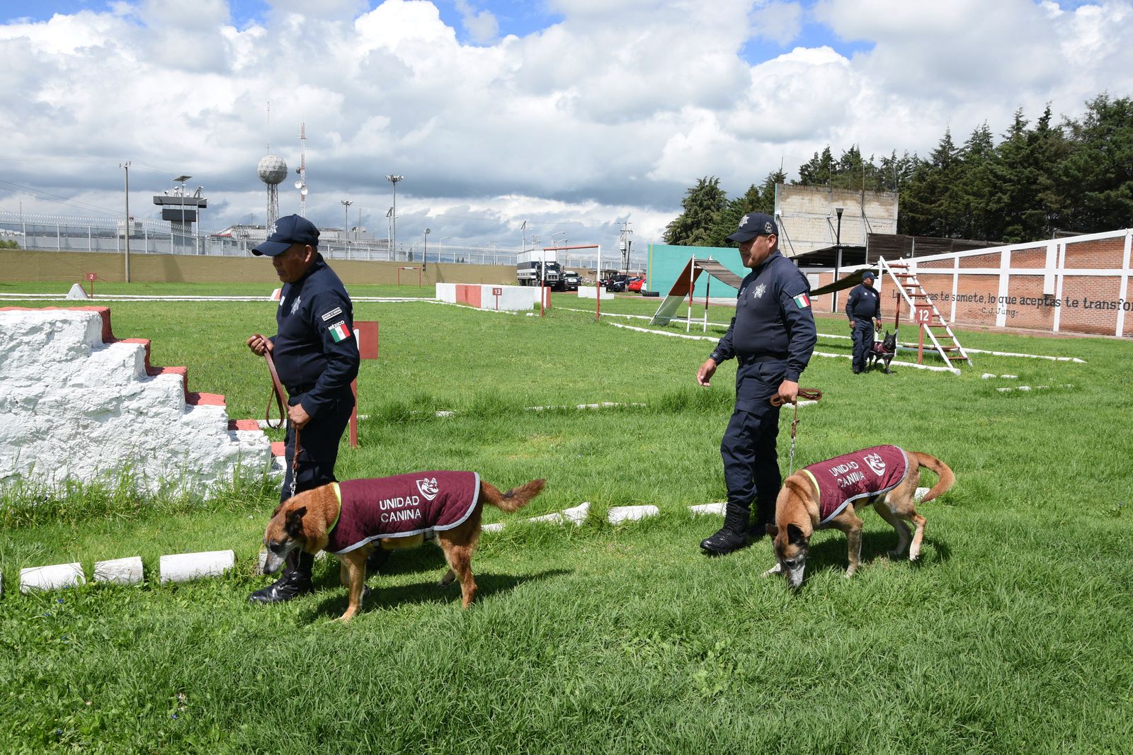 De los 26 semovientes, 14 son hembras y 12 machos de las razas Pastor Belga Malinois, Labrador, Pastor Holandés Belga y Pastor Alemán.