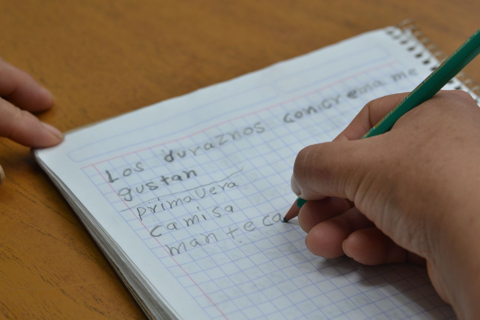 SEP realiza Primera Jornada Nacional de Incorporación para la Alfabetización 2025.