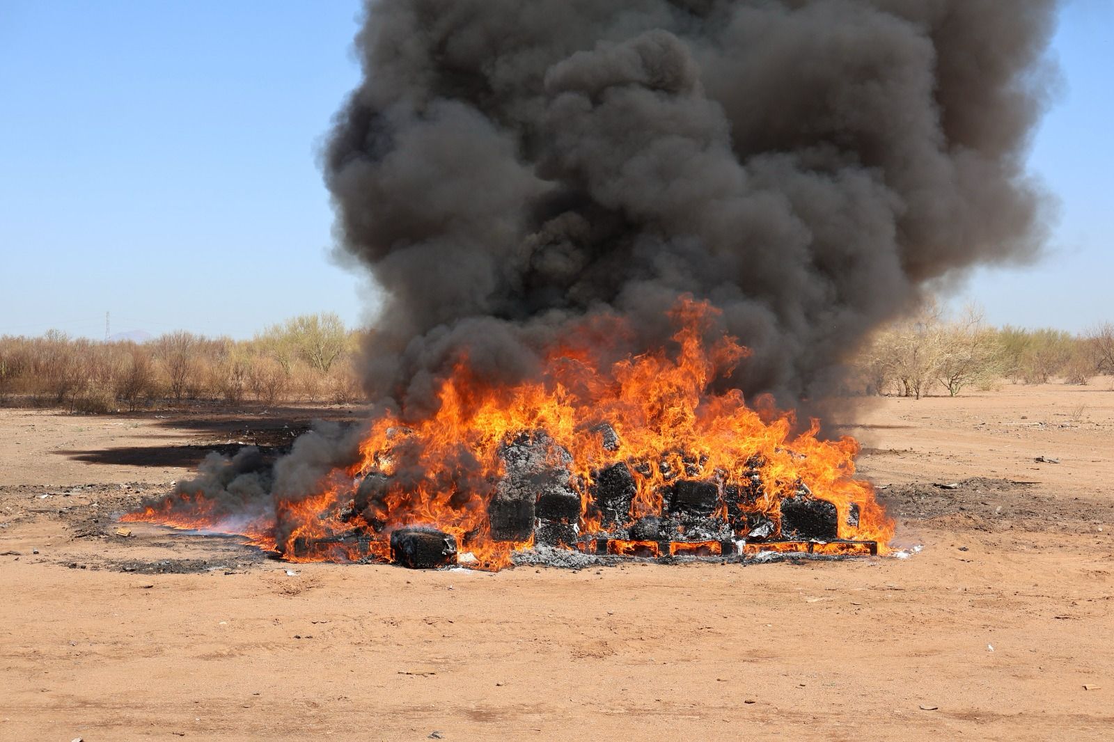 La destrucción de los enervantes se dio bajo la supervisión de personal del Órgano Interno de Control (OIC), de la FGR.