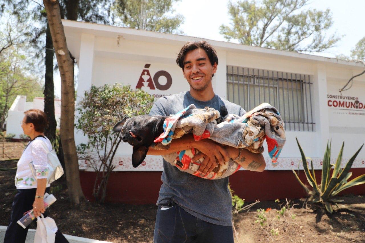 Perro es llevado para si tención en Álvaro Obregón