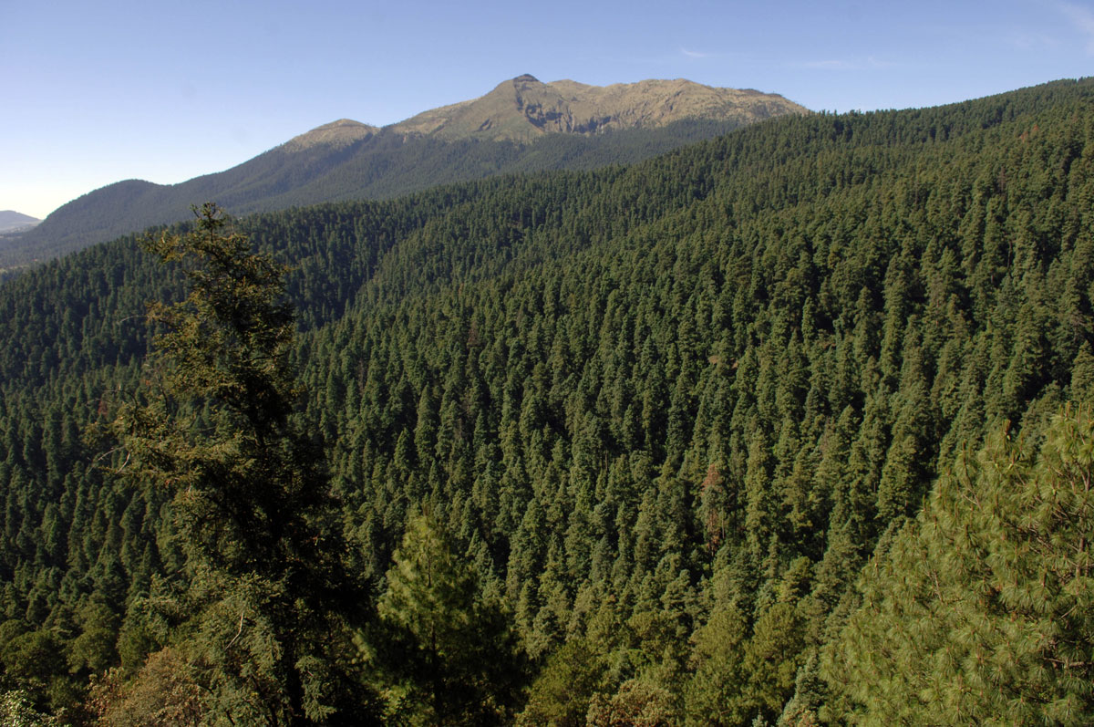 Áreas naturales