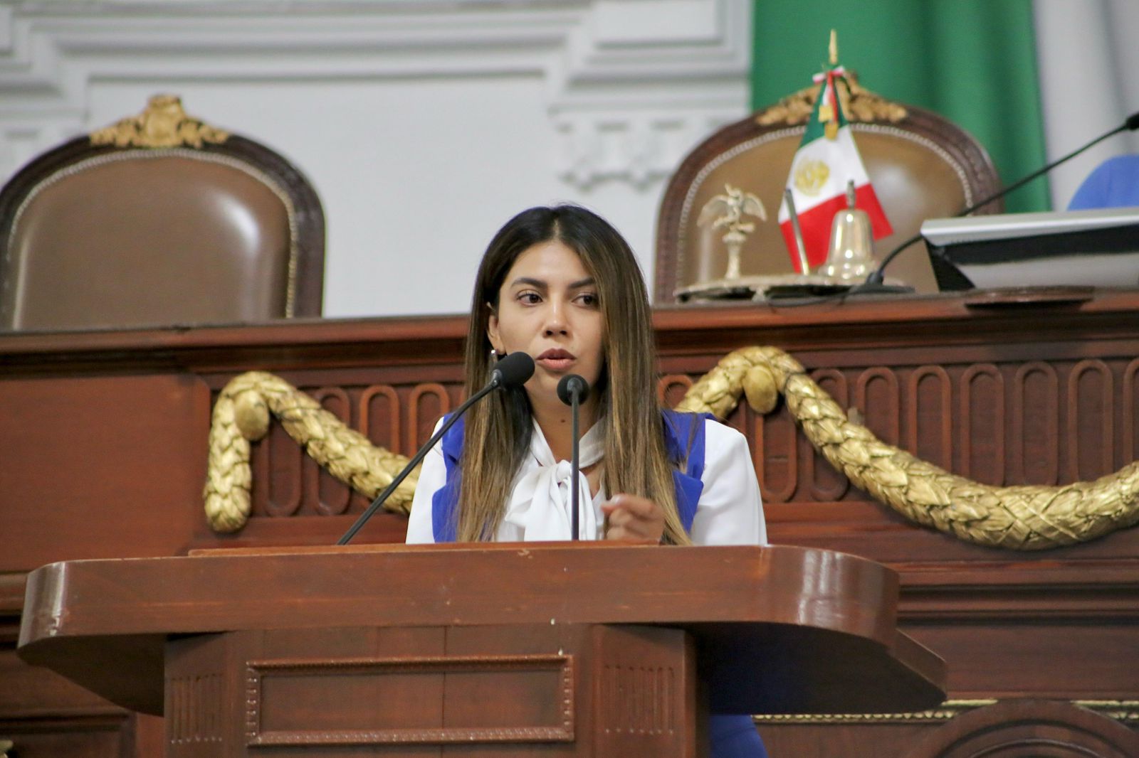 Dip. Claudia Montes de Oca