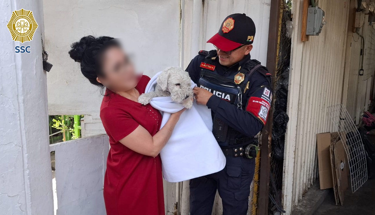 Dan en adopción a perrito Alushe