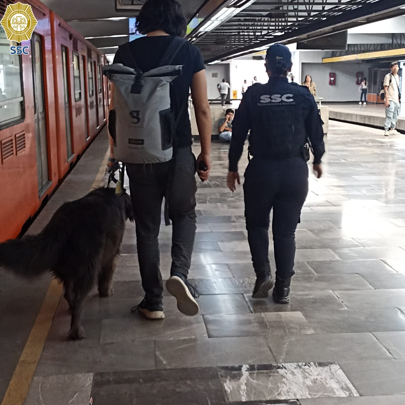 Apoya SSC a persona con perro de ayuda emocional