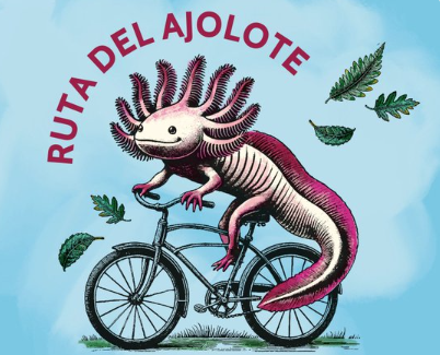 Recorre con la rodada “Ruta del Ajolote” la zona chinampera de Xochimilco