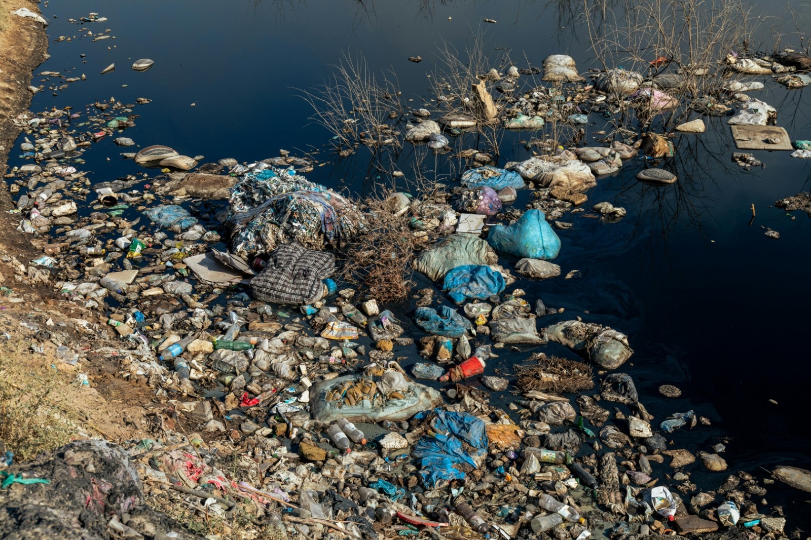 Aguas estancadas, peligro silencioso que crece con la urbanización