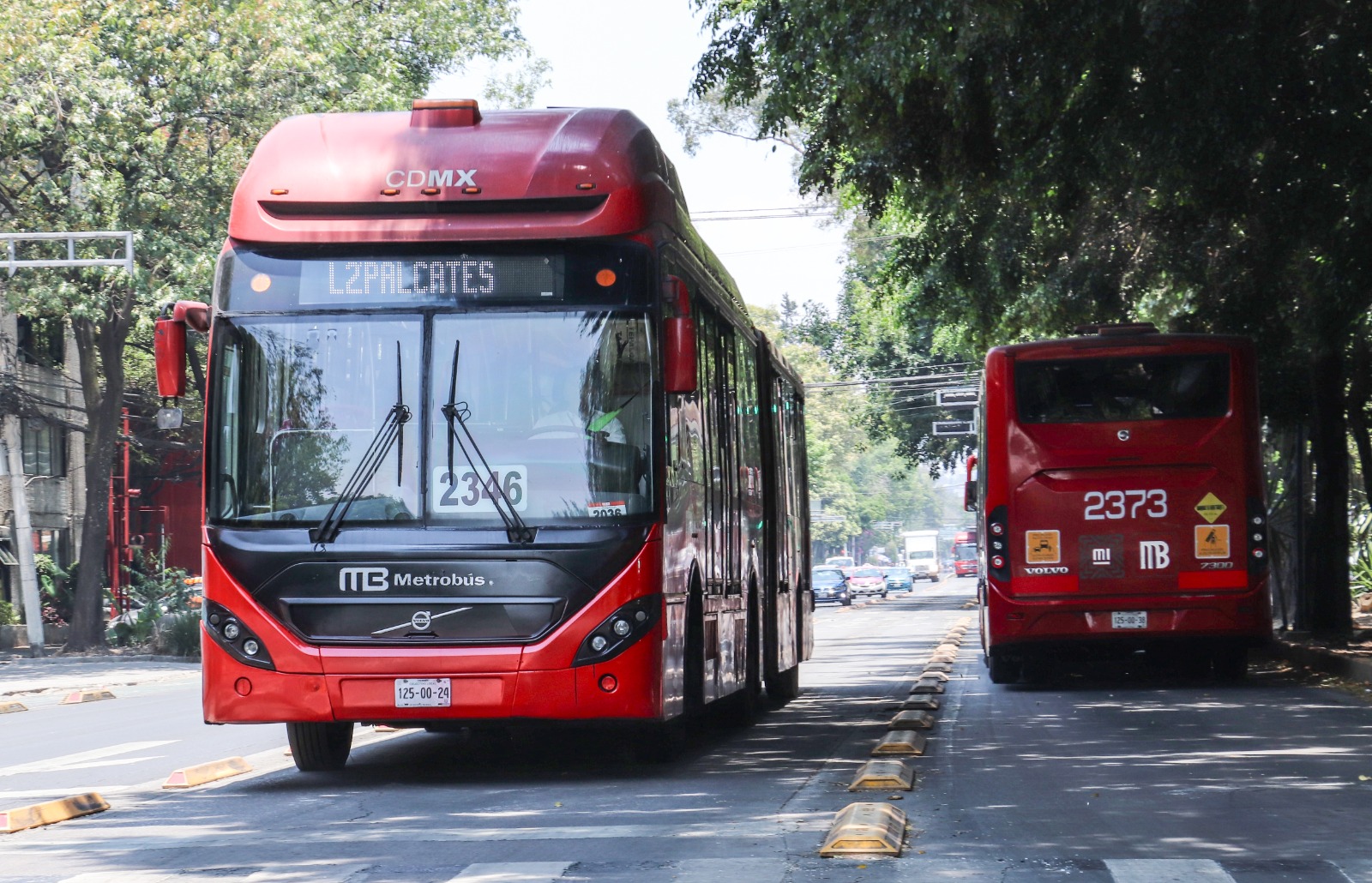 Recomendaciones para transitar hacia un transporte de cuidados