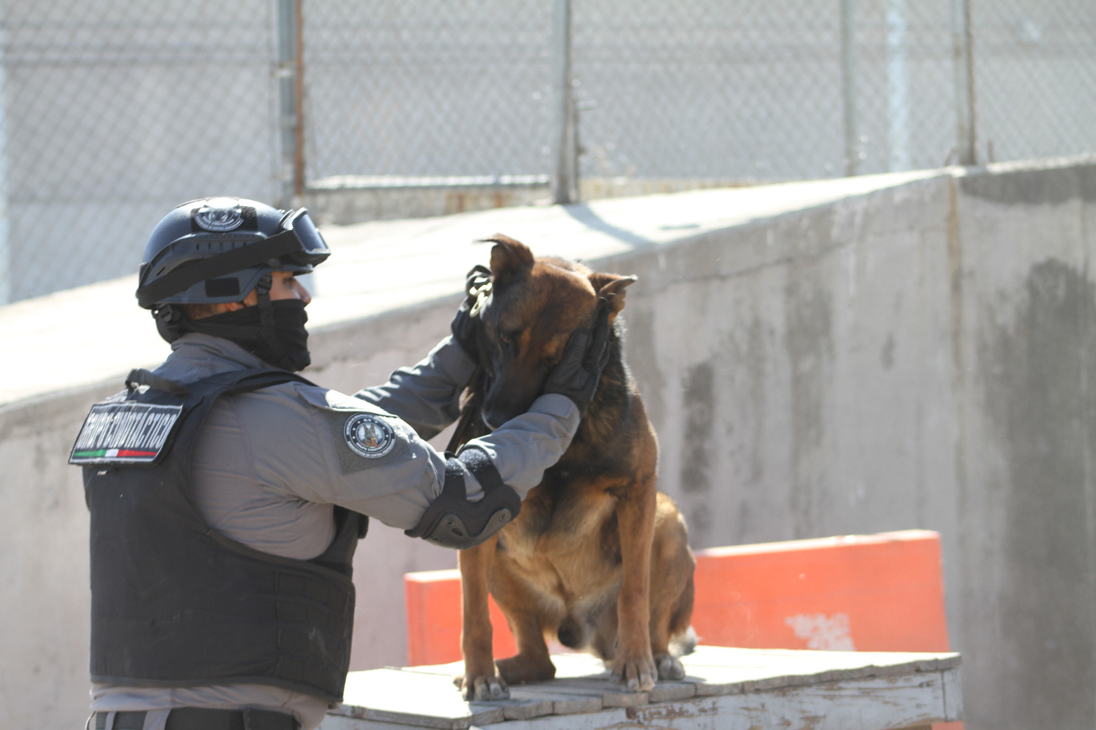 Continuamente el Edomex prepara a su unidad canina para control en penales