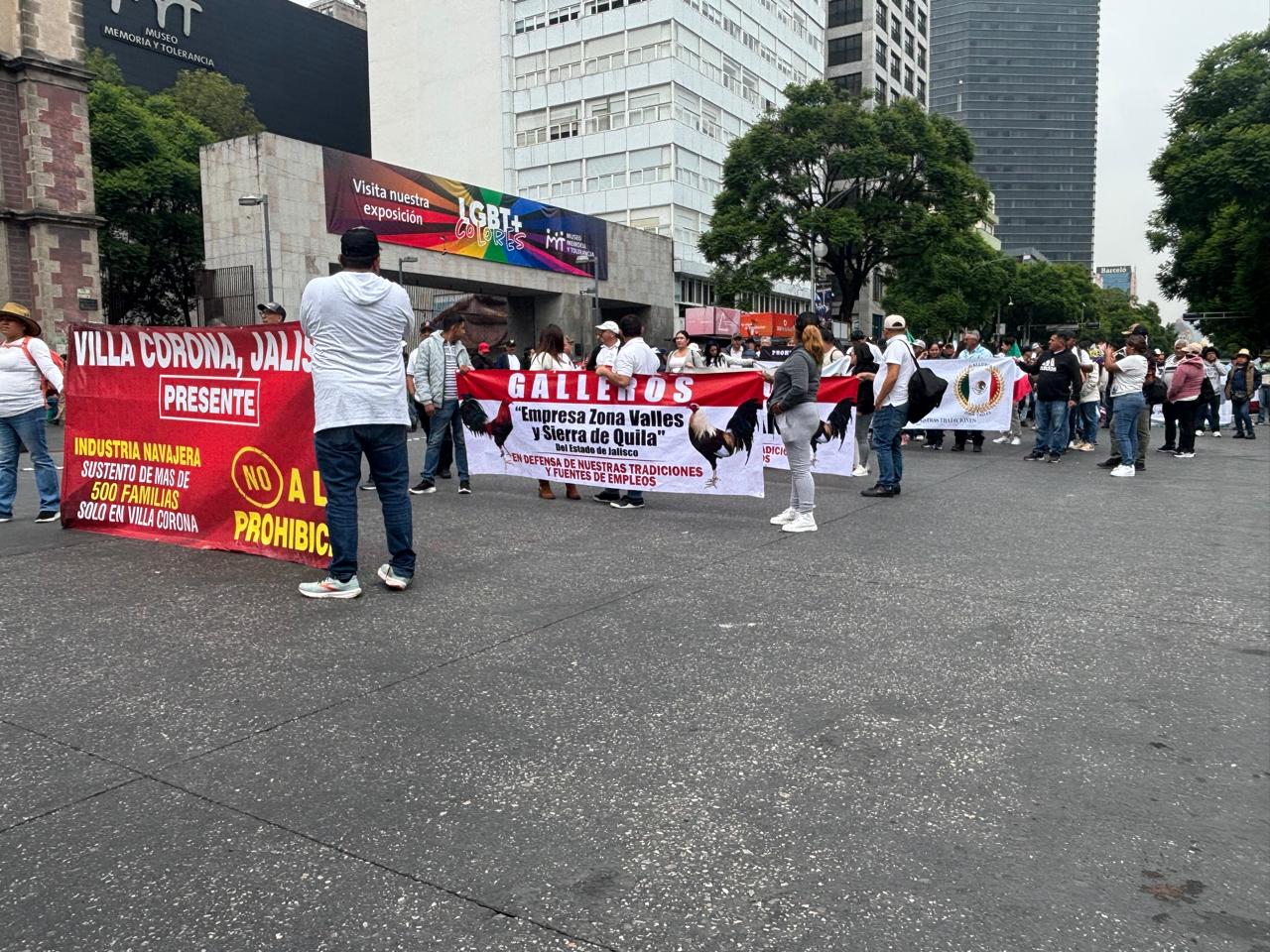 Marchan galleros por defensa cultural