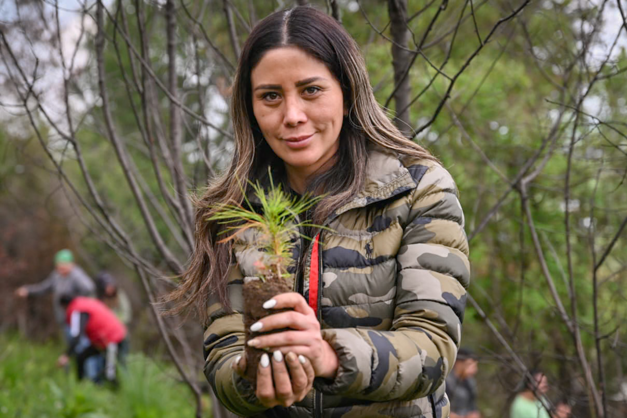 Trabaja diputada del PVEM reforestación en ocho municipios