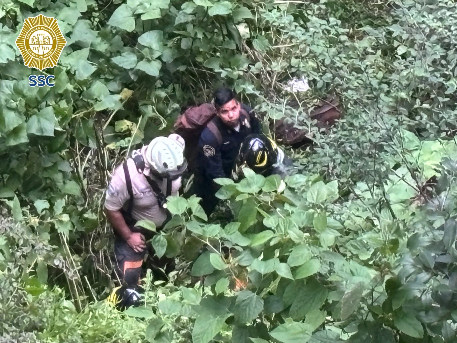 Policía, bomberos y Protección Civil rescatan a joven que cayó a barranca en la MH