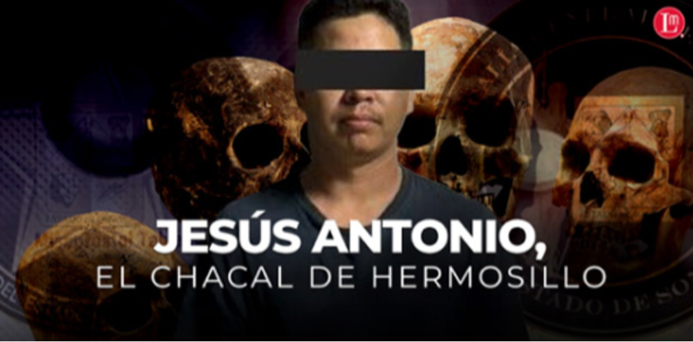 Chacal de Sonora