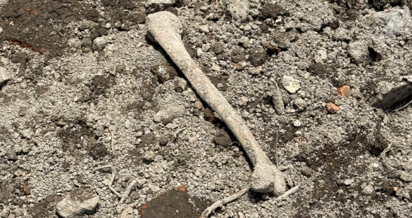 Restos óseos en la colonia Guerrero