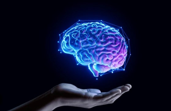 Redes sociales: las cinco cosas que debe hacer para mantener su cerebro sano de estrés