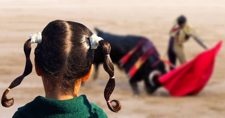 Tauromaquia Mexicana celebra la decisión de la SCJN que reconoce la libertad cultural de la niñez y juventud