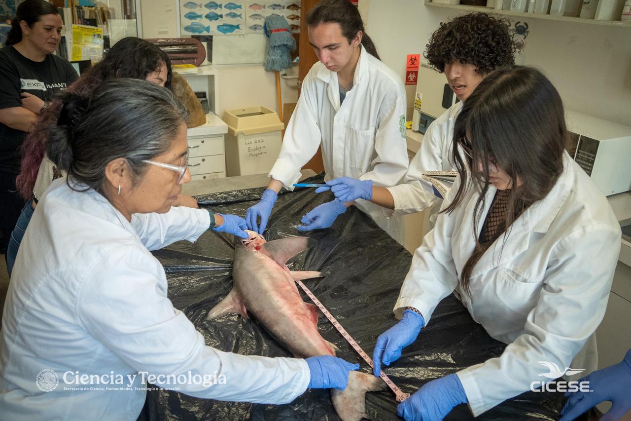 Jóvenes exploraron la ciencia durante una semana en Ensenada