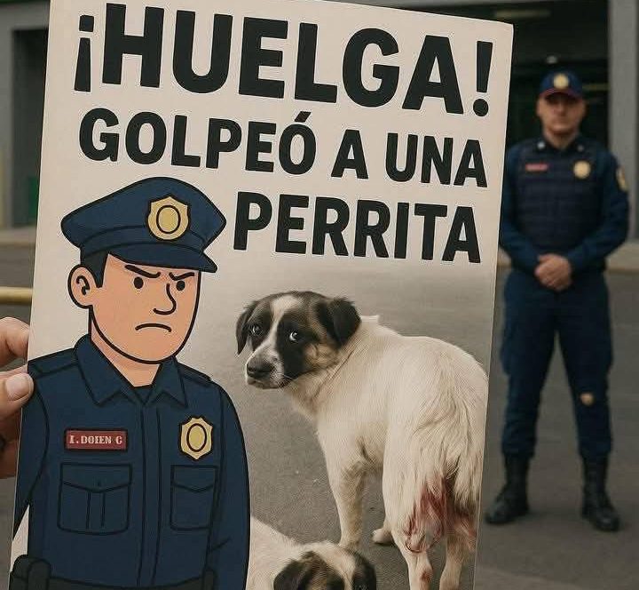 Agresión a perrita