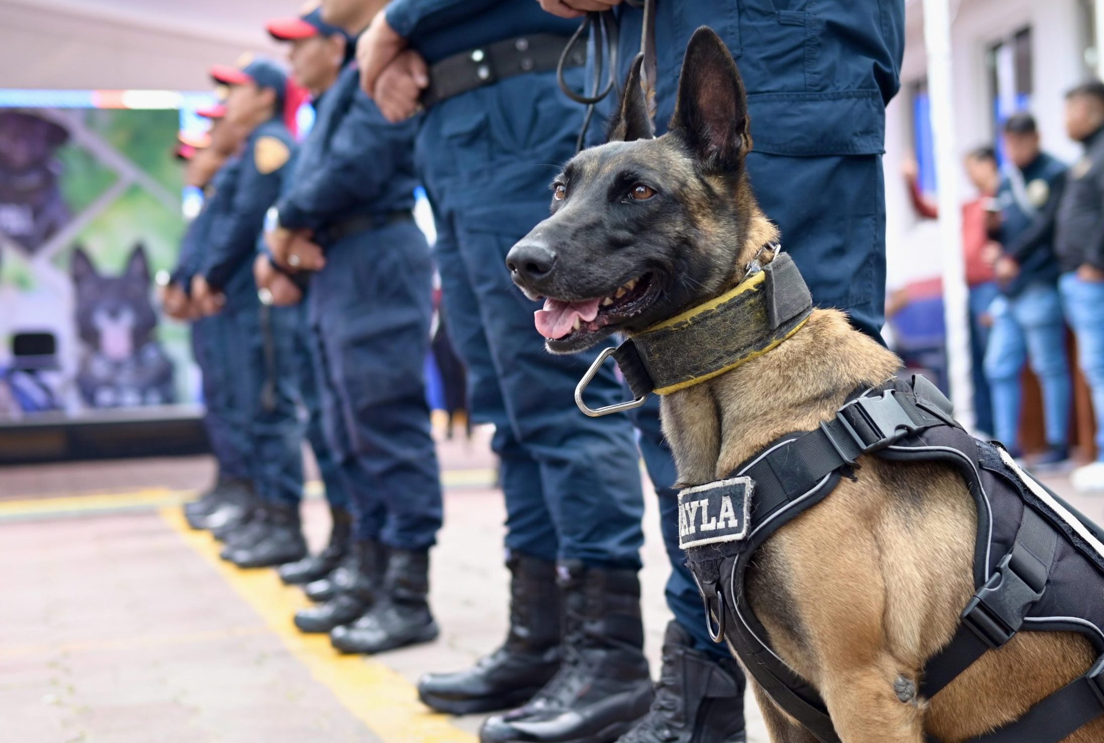 SSC celebra 28 años de la Unidad Canina de la Policía Bancaria e Industrial