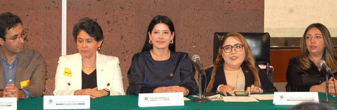 Para reducir mortalidad en población materno-infantil urgen políticas públicas: Celia Fonseca