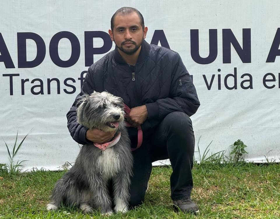 Versi la perrita rescatada en Metro Universidad regresó con su familia