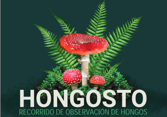 recorrido de hongos en el Parque Nacional Desierto de los Leones