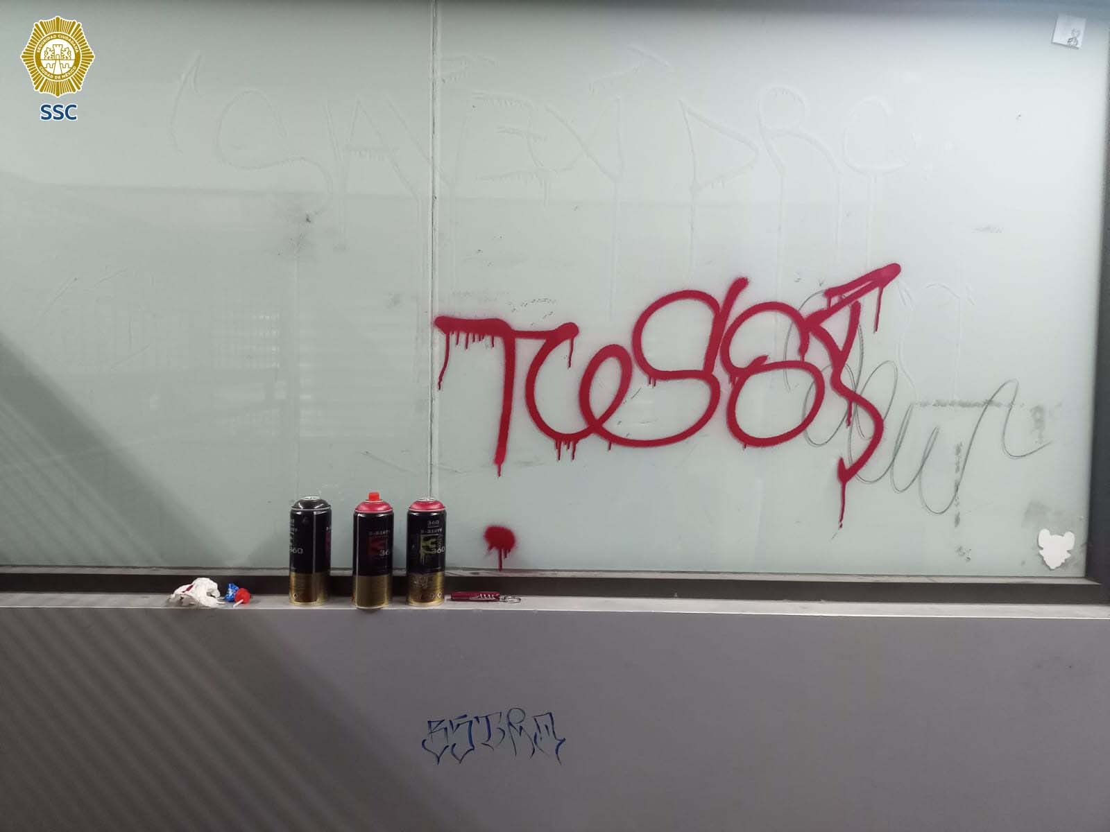 grafitearon instalaciones del Metro