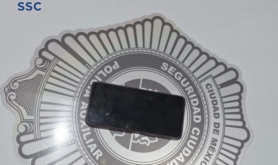 Detenido acusado de sustraer teléfono celular en el Metrobús