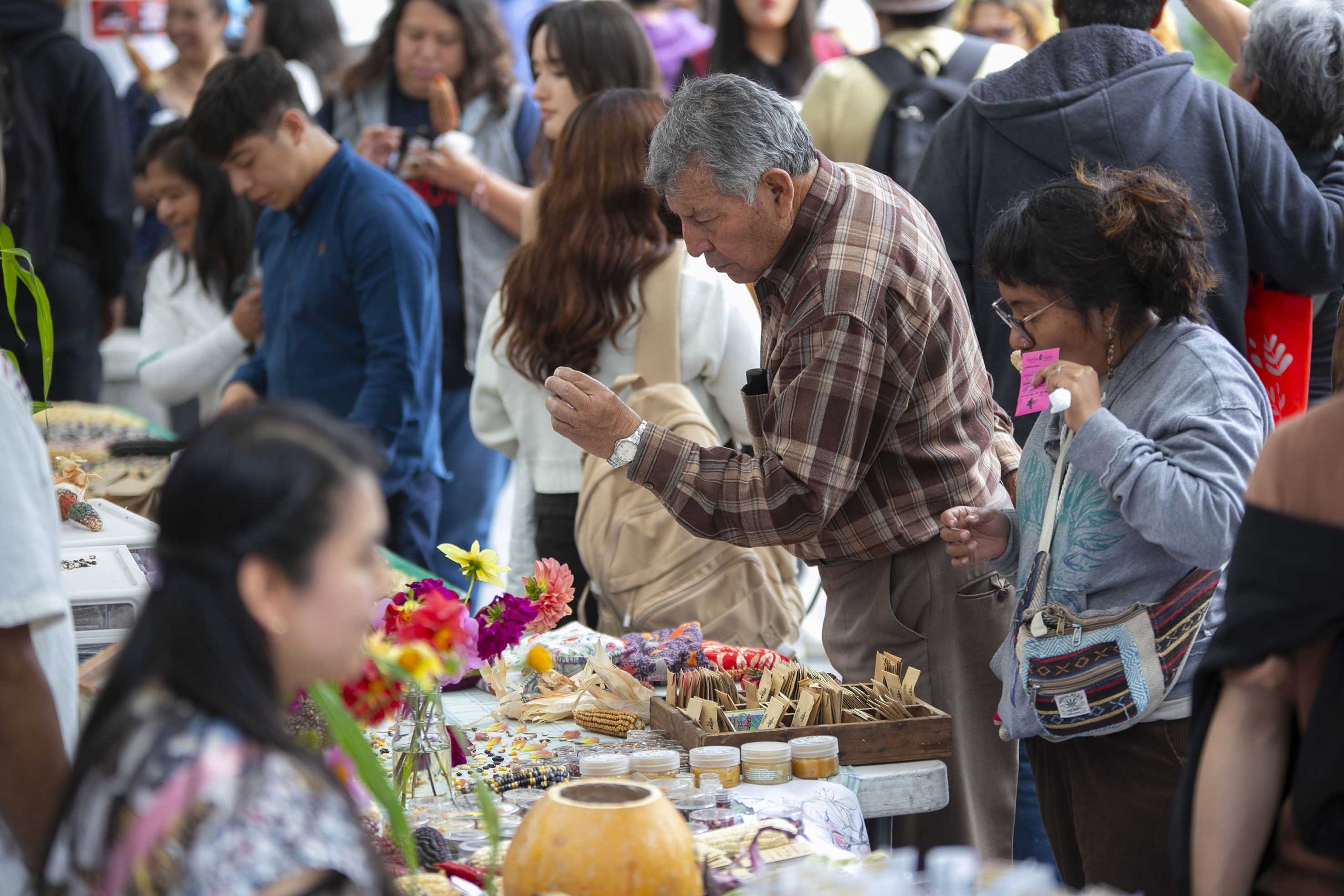 En UNAM celebran 17ª edición de las jornadas académicas y culturales por el Día del Maíz