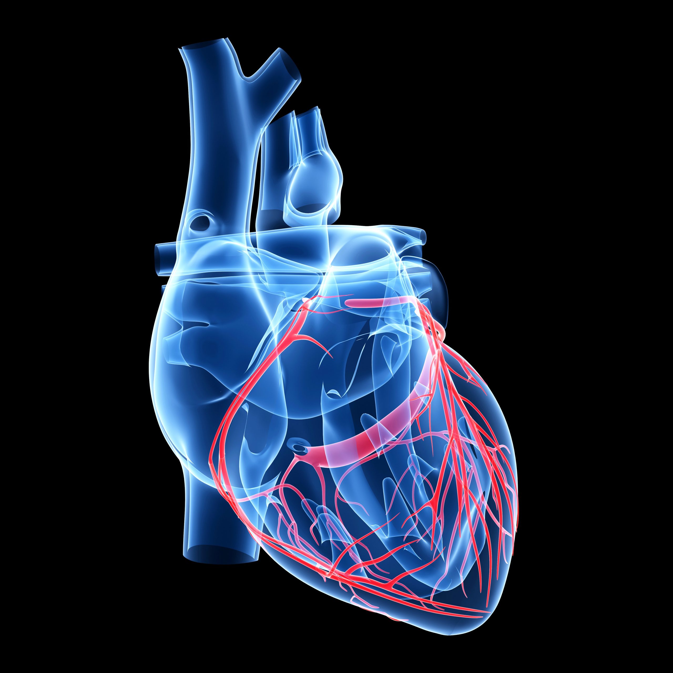 Las enfermedades cardiovasculares son la primera causa de muerte en México