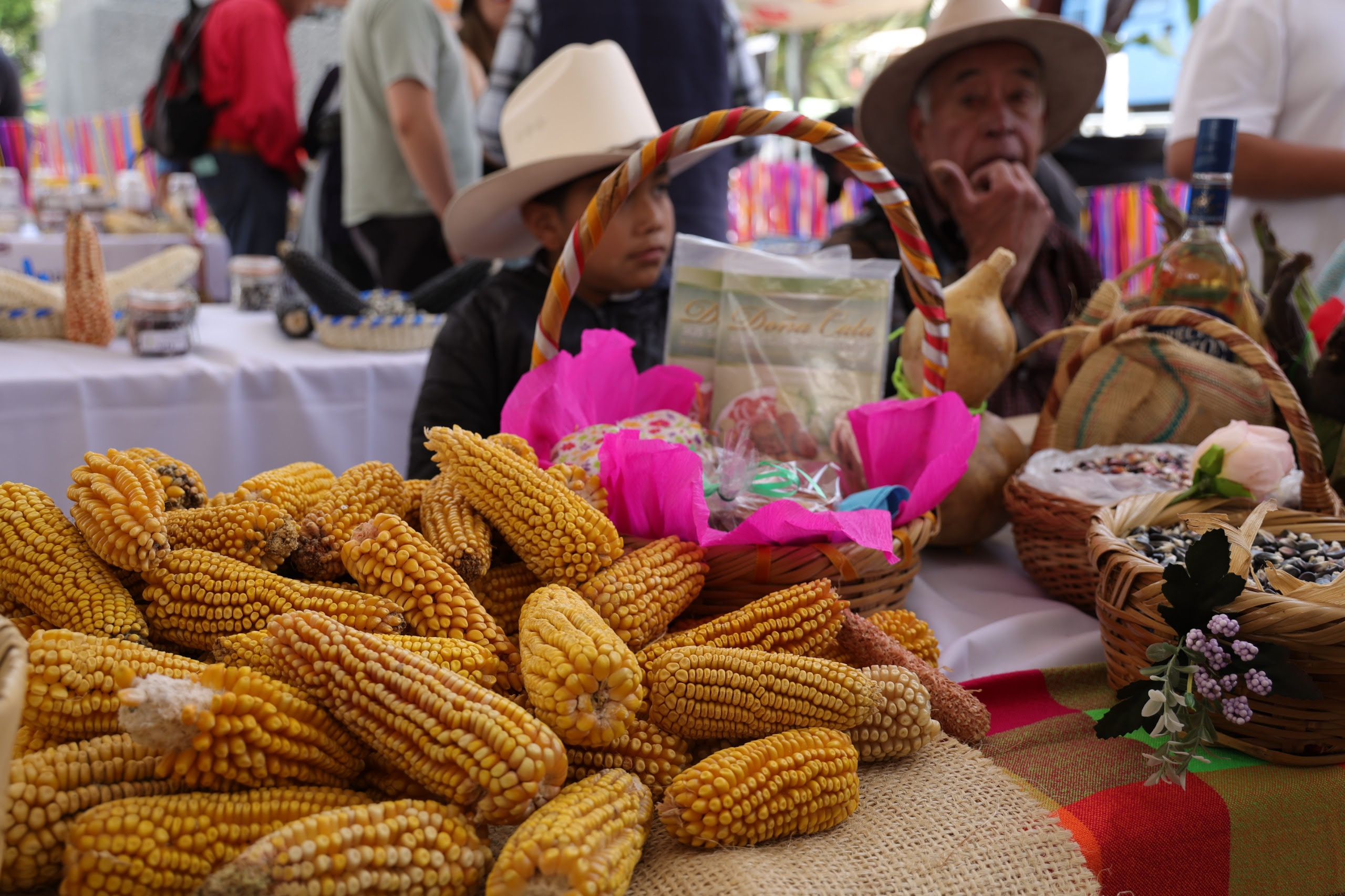 Feria del maíz y la agrodiversidad es en el Monumento a la Revolución