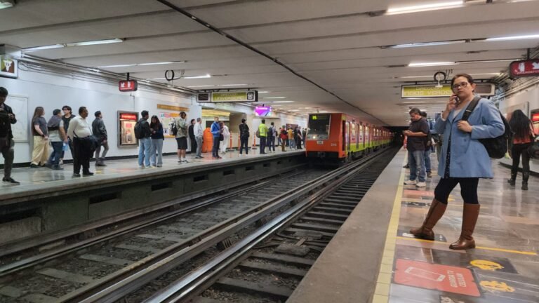 WhatsApp Image 2026-01-07 at 2.49.21 PM