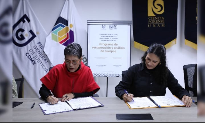 WhatsApp Image 2026-01-17 at 12.15.45 PM