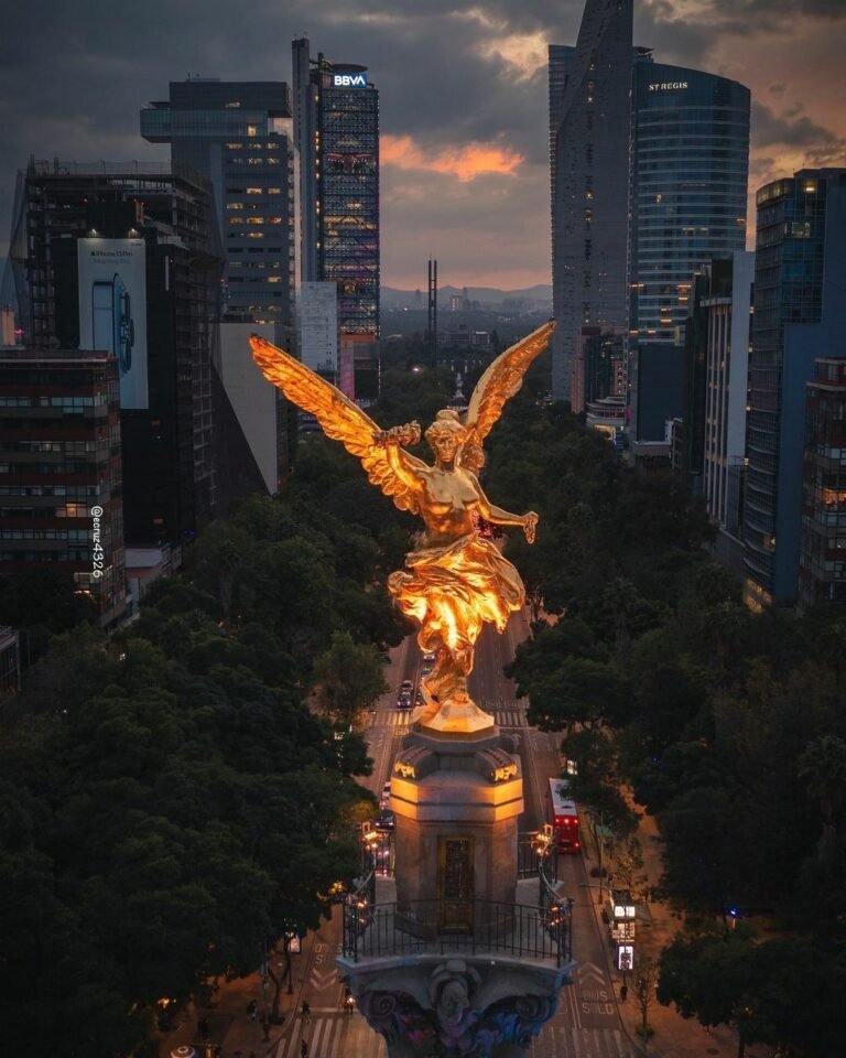 WhatsApp Image 2026-01-20 at 12.18.14 PM