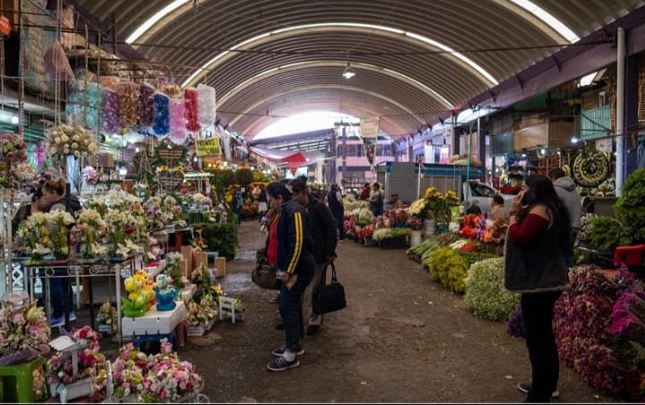 WhatsApp Image 2026-01-24 at 6.47.37 PM