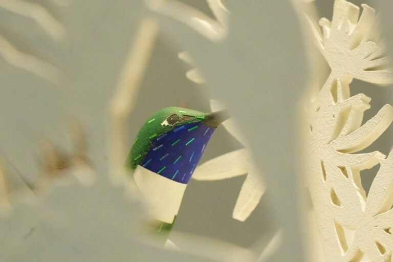 Colibríes, arte y naturaleza urbana en el Museo de Historia Natural