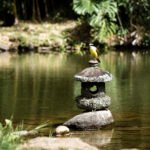 long-shot-bird-lake-with-blurred-background