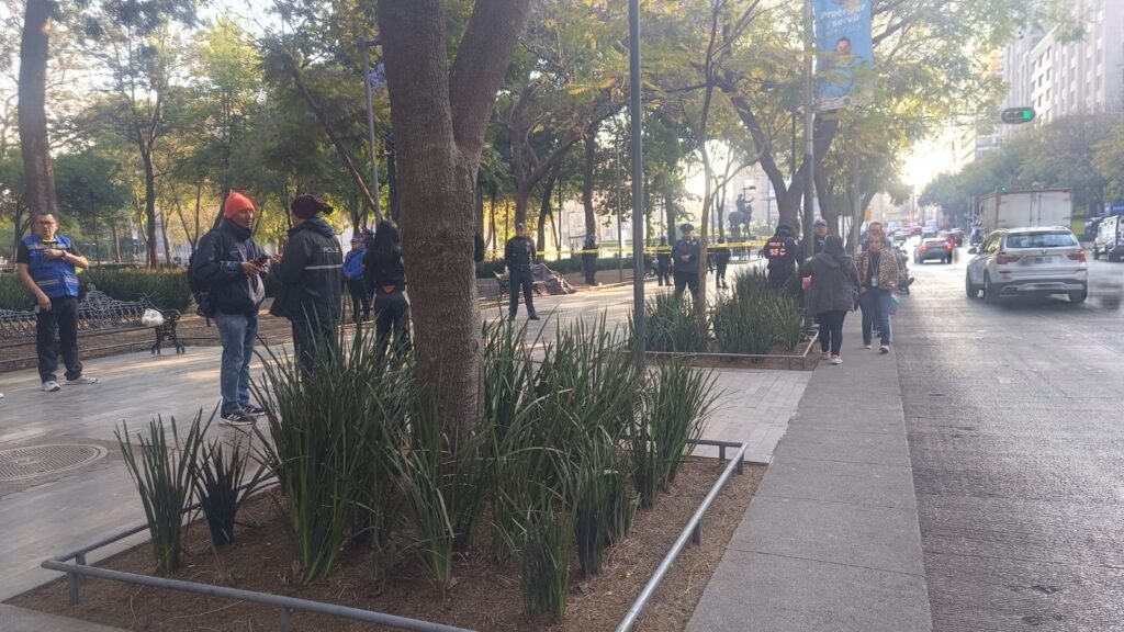 WhatsApp Image 2026-02-06 at 9.03.50 AM