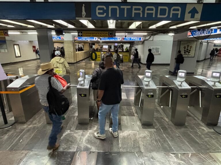 WhatsApp Image 2026-02-11 at 6.33.49 PM